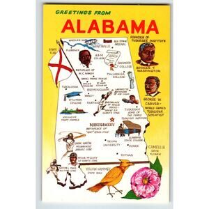 Postcard Greetings From Alabama Map Chrome Yellow Hammer Bird Camellia Unposted